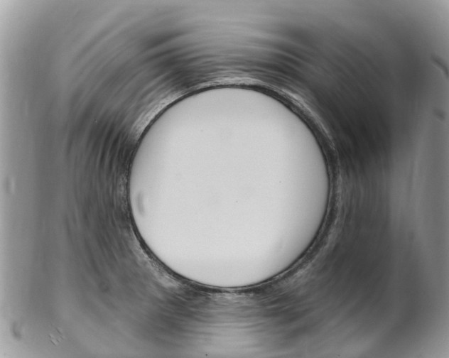 X0000102791281200808180946