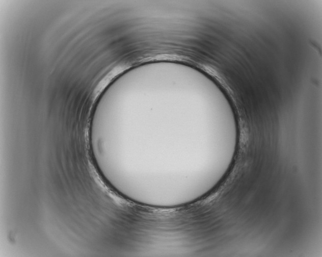 X0000102791282200808180945