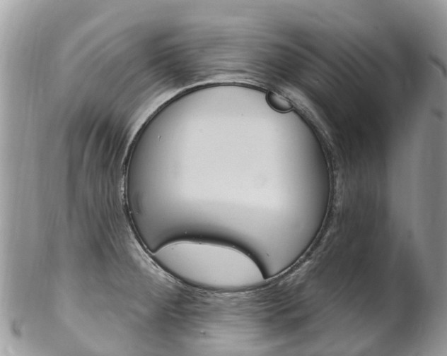 X0000102791284200808180945