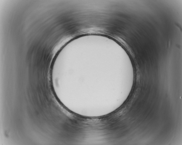 X0000102791285200808180945