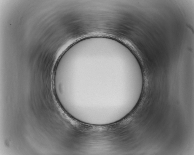 X0000102791286200808180945