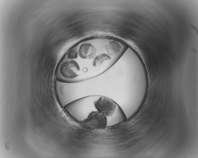 X0000102791287200808180945