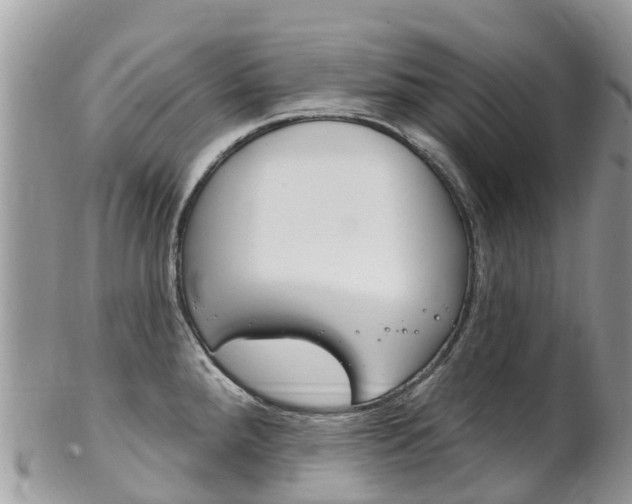 X0000102791288200808180945