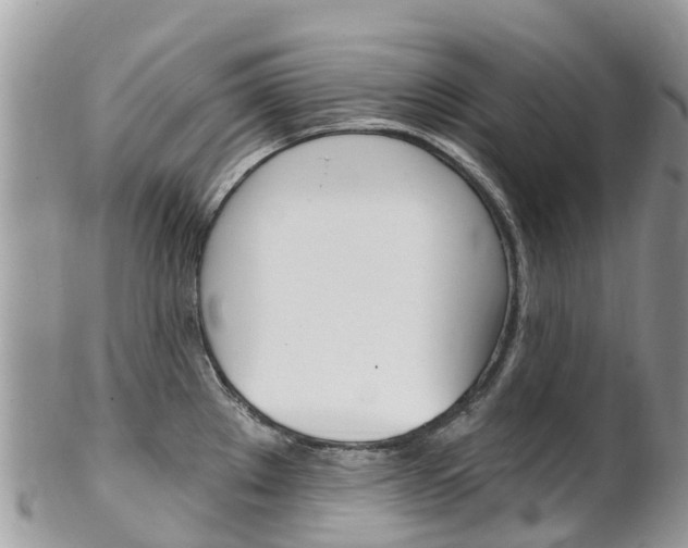 X0000102791289200808180945