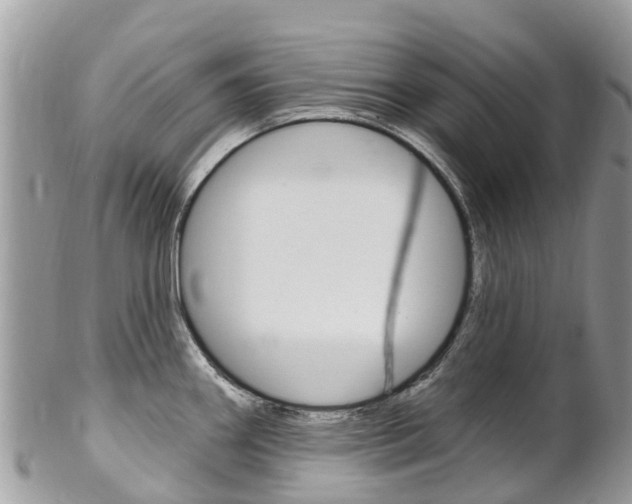 X0000102791290200808180945