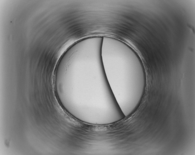 X0000102791291200808180945