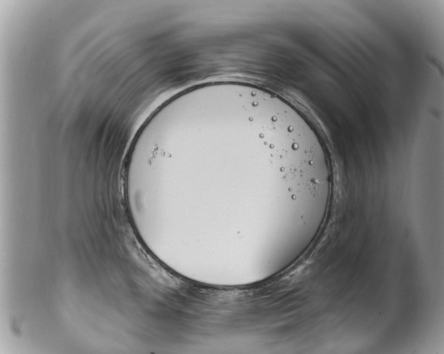 X0000102791292200808180945