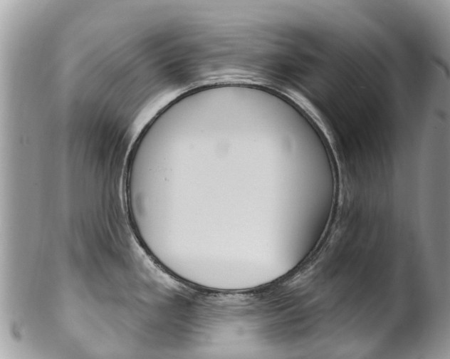 X0000102791293200808180945
