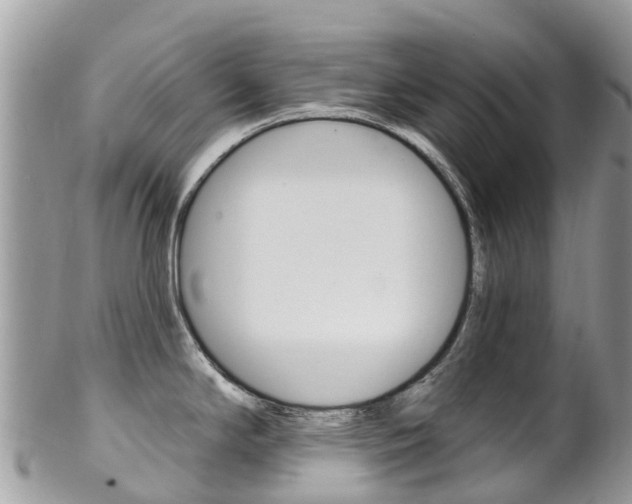 X0000102791294200808180945