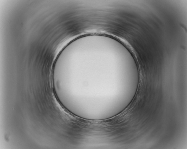 X0000102791295200808180945