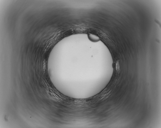 X0000102791299200808180945