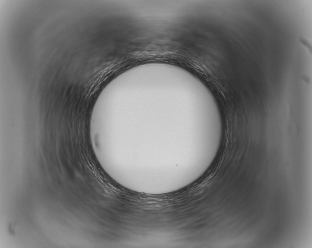 X0000102791300200808180945