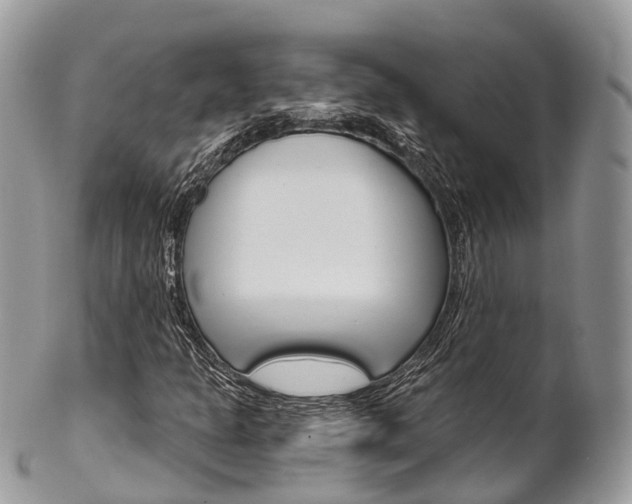 X0000102791301200808180945