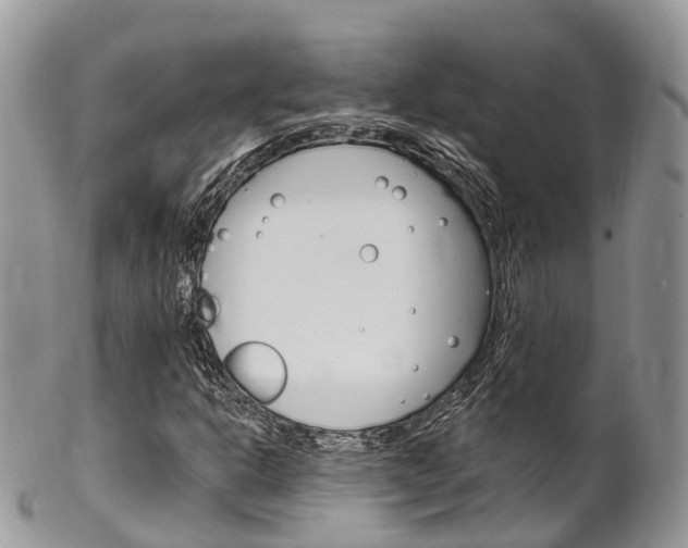 X0000102791302200808180945