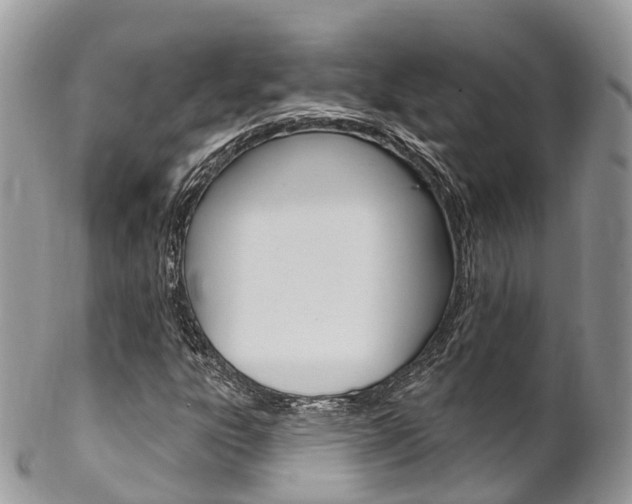 X0000102791303200808180945