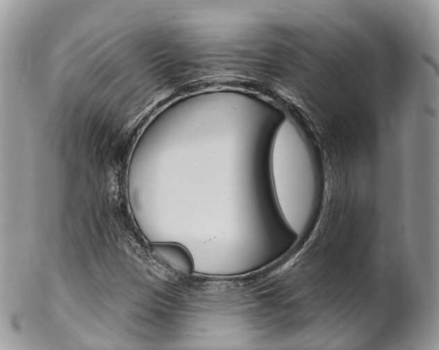 X0000102791305200808180945