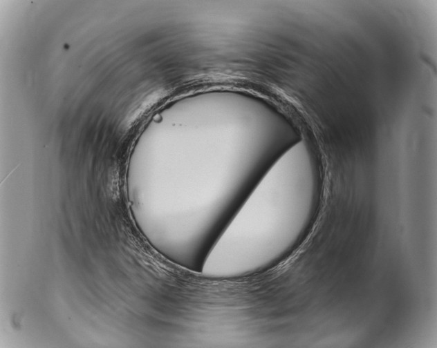 X0000102791306200808180945