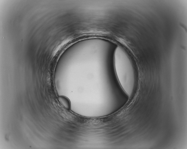 X0000102791307200808180945