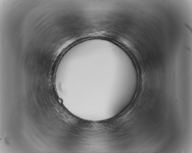 X0000102791308200808180945