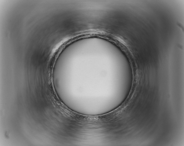X0000102791310200808180945