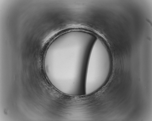 X0000102791311200808180945