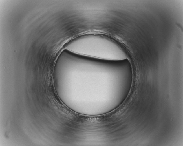 X0000102791313200808180945