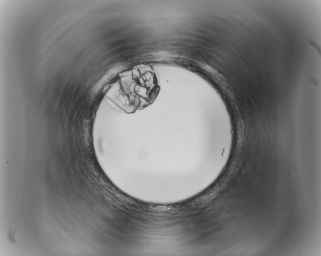 X0000102791314200808180945
