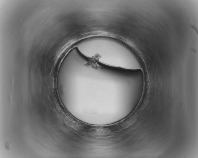 X0000102791318200808180945