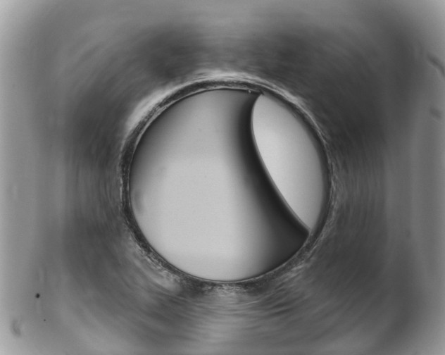 X0000102791319200808180945