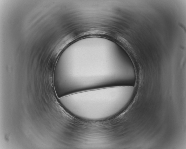 X0000102791321200808180945