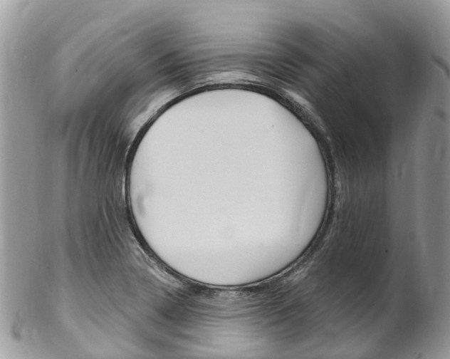 X0000102791322200808180945