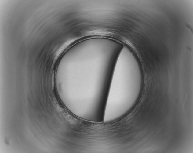 X0000102791323200808180945