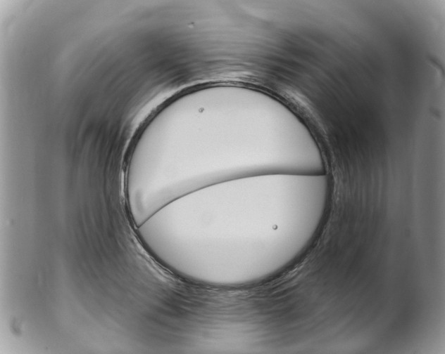 X0000102791324200808180945