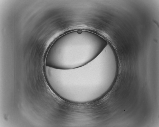X0000102791326200808180945