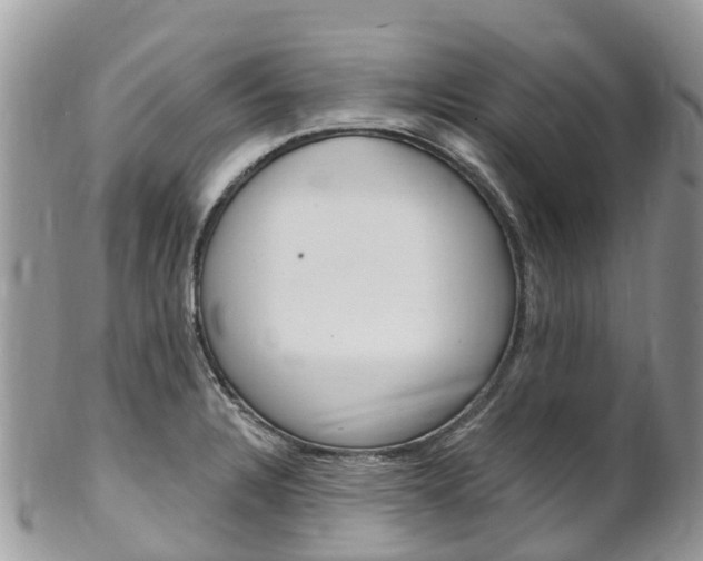X0000102791328200808180945