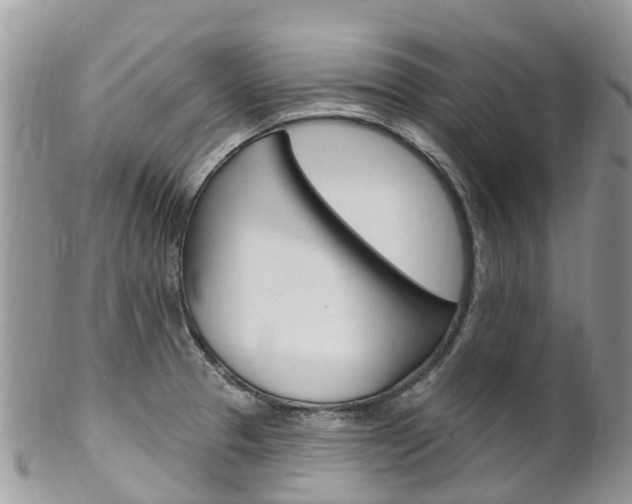 X0000102791329200808180945