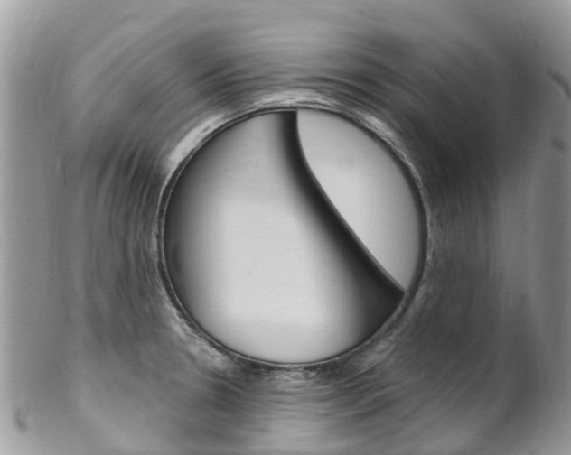 X0000102791330200808180945