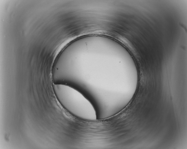 X0000102791332200808180945