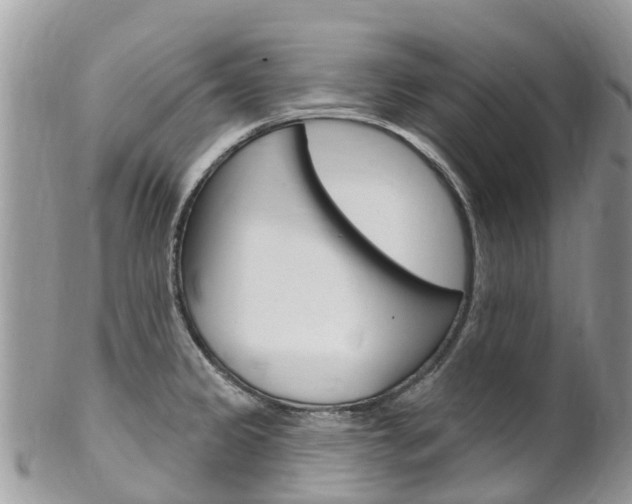X0000102791333200808180945