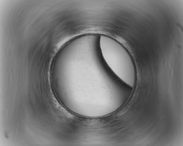 X0000102791334200808180945