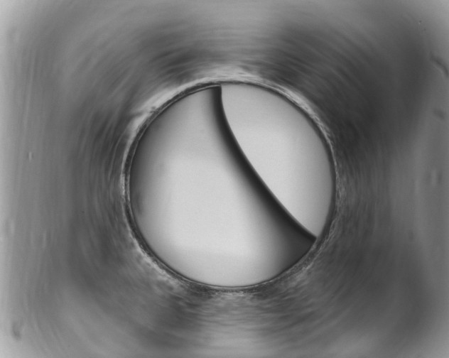 X0000102791335200808180945