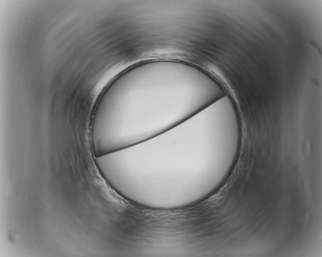 X0000102791336200808180945