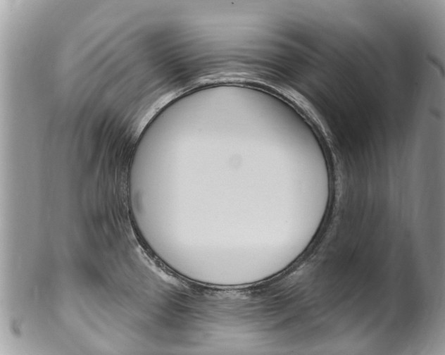 X0000102791337200808180945