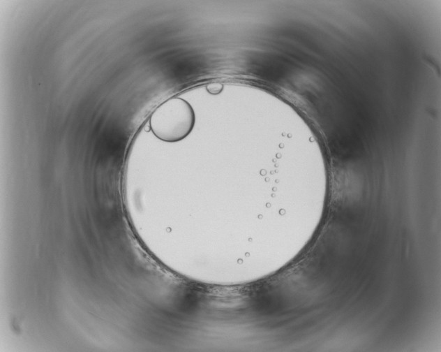 X0000102791338200808180945