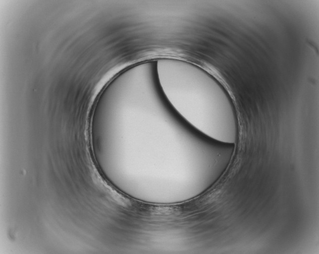 X0000102791339200808180945