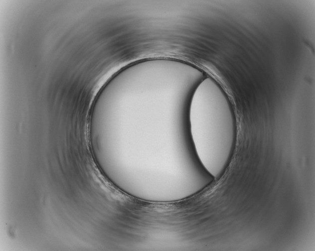 X0000102791340200808180945