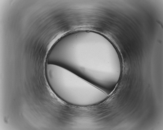 X0000102791341200808180945
