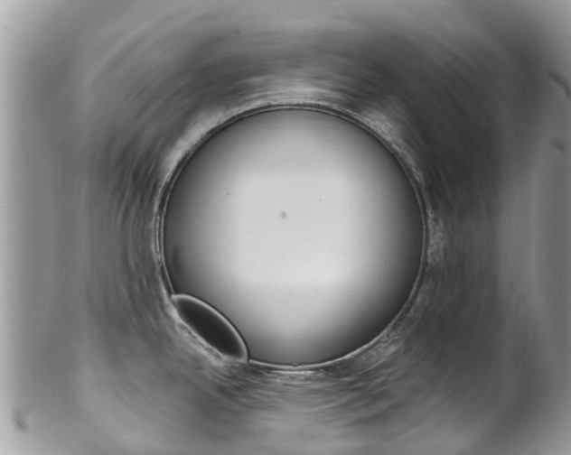 X0000102791342200808180945