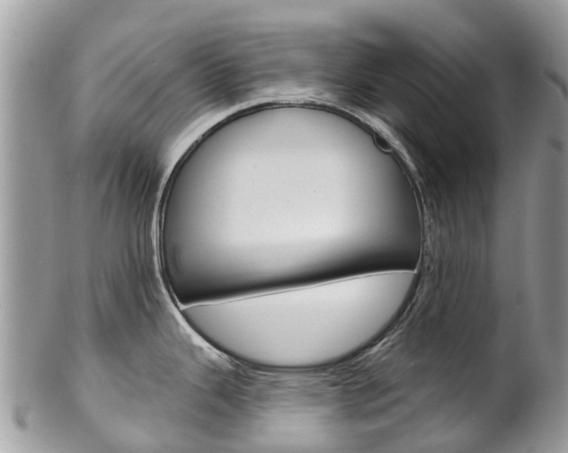 X0000102791343200808180945