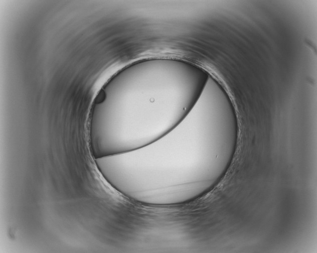 X0000102791344200808180945